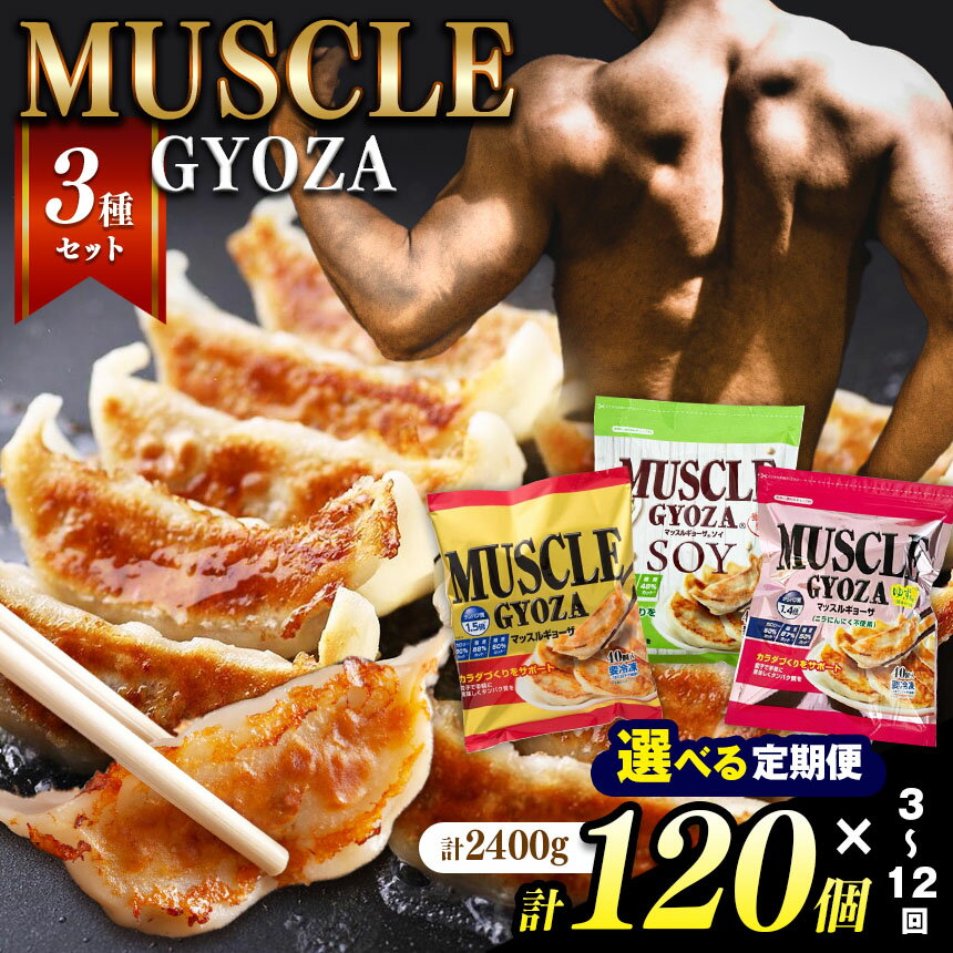 【ふるさと納税】【定期便も選べる】マッスルギョーザ 3種 セット｜ふるさと納税 餃子 ギョーザ 低糖質 マッスルギョーザ 長野県 松本市
