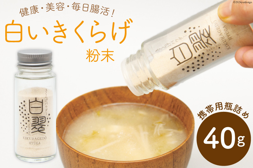 
                  きのこ きくらげ 白いきくらげ 白翠 携帯用瓶入り 40g [きくらげ堂 日向店 宮崎県 日向市 452060688] 国産 キクラゲ 瓶 白 粉末 パウダー 瓶詰め
                