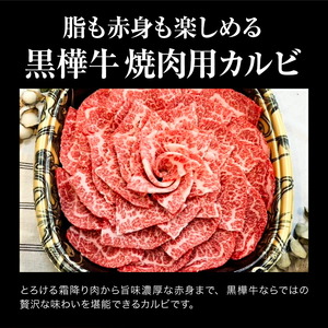 くまもと黒毛和牛 黒樺牛 A4～A5等級 焼肉用カルビ 250g 株式会社杉本本店 《90日以内に出荷(土日祝除く)》熊本県 菊池市 牛肉 牛 霜降り 赤身 お肉 焼き肉 BBQ 黒毛和牛 国産 九州