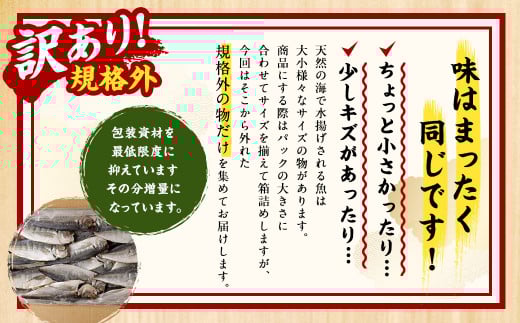 【4ヶ月定期便】【訳あり規格外】 業務用 あじ干物 1.9kg