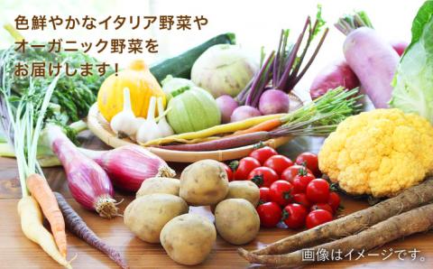 【全6回定期便】旬を味わう 『糸島野菜セット』 10～14種（計14パック） 年6回お届けコース イタリア野菜 オーガニック 野菜ソムリエ松永【vegeLabo】[AJB002]