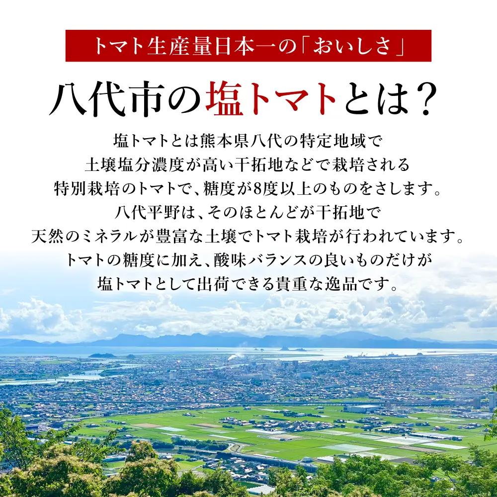 トマト 【先行予約】 くまもと塩トマト 「ロイヤルセレブ」 約1kg 【2027年1月上旬より順次発送】 トマト