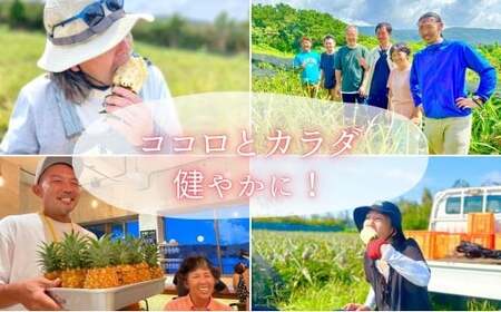 ☆新感覚の味わい☆桃のような芳醇な香りのする　『西表島産完熟ピーチパイン』 約1.2kg（2～3個入）