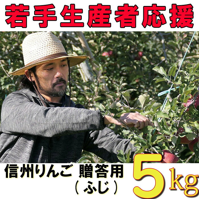 【ふるさと納税】【2026年 先行予約 令和8年産】 りんご 5kg 期間限定 【若手生産者応援】 ふじ サンふじ 伊藤 快 贈答用 果物 フルーツ 先行 予約 信州 麻績村