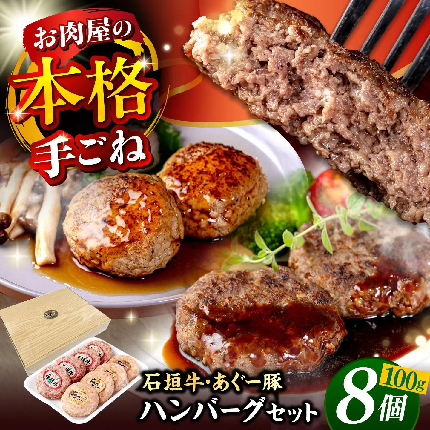 あぐー豚・石垣牛ハンバーグ セット 計800g 石垣牛 ハンバーグ BCAZ003