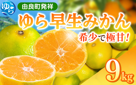 【早生みかんの逸品】 ゆら早生みかん 9kg ※2025年10月中旬～順次発送【kzmn006】
