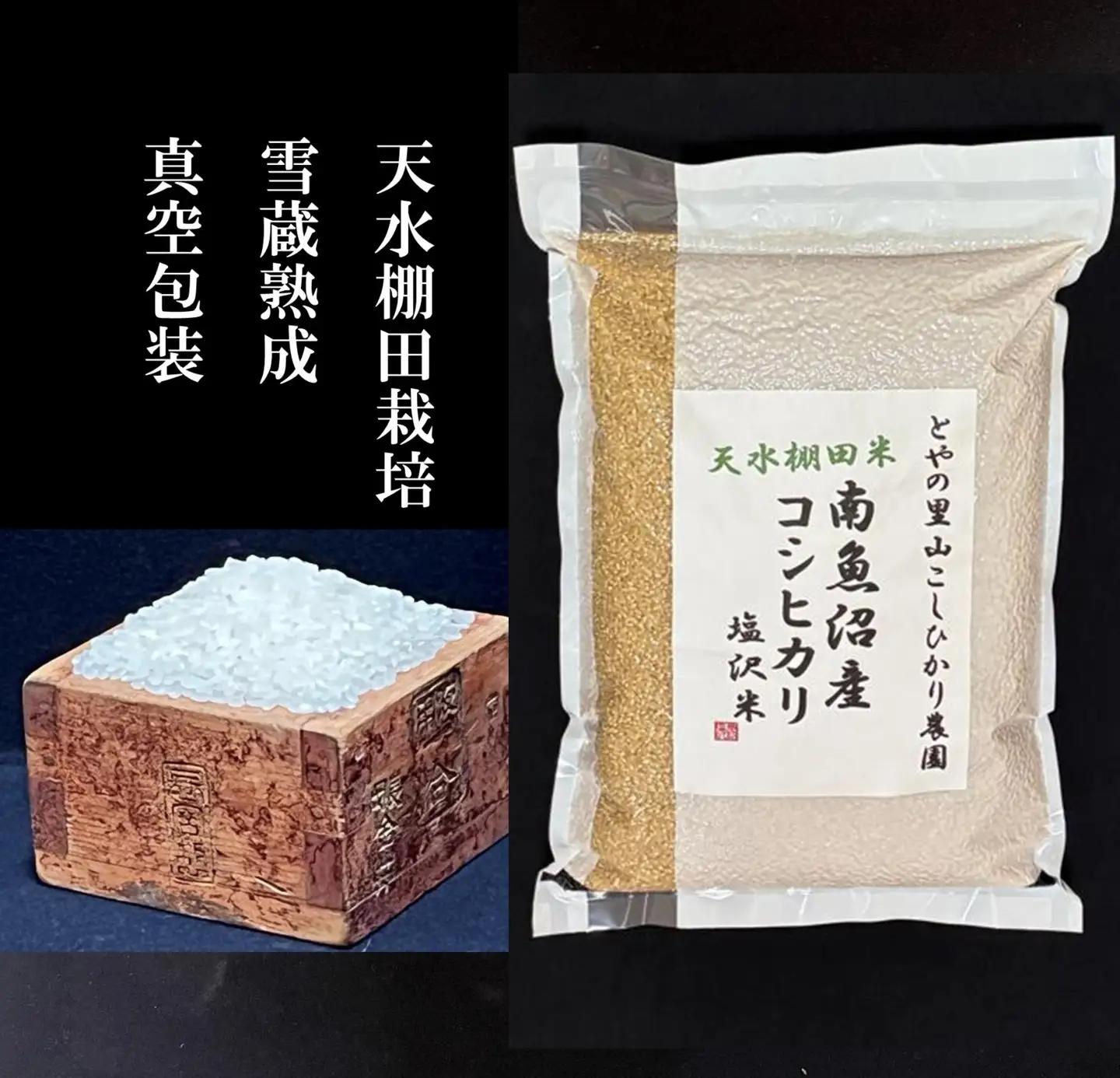 【令和8年産新米予約】【天水棚田米】雪蔵熟成塩沢産コシヒカリ玄米5kg1回「とやの里山継承プロジェクト」【2026年10月下旬より1ヶ月以内に順次発送予定】