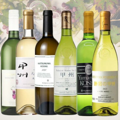 【ふるさと納税】甲州ワイン6本セット　029【配送不可地域：離島】【1625018】