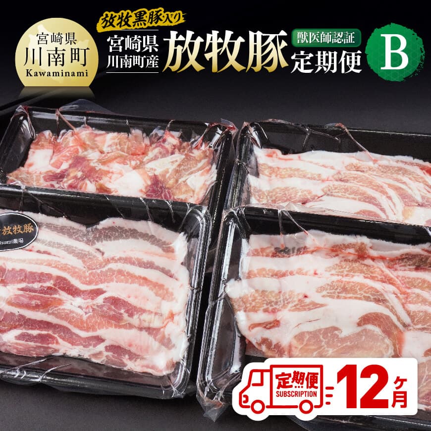 【12ヶ月定期便】宮崎県川南町産 放牧豚定期便B（放牧黒豚入り） 豚 肉 豚肉 黒豚 国産 九州産 宮崎県産 川南町 加工品 セット 送料無料