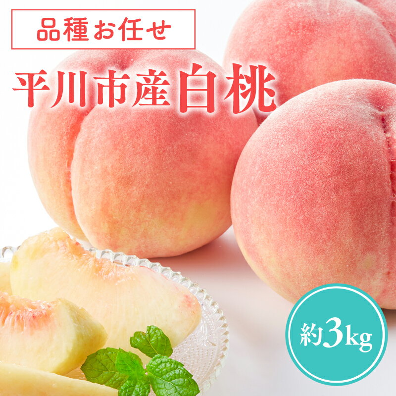 【ふるさと納税】≪8月〜9月発送予定≫ 品種お任せ 平川市産 白桃 約3kg 【青森県 平川市 田中農園】フルーツ 果物 桃 もも モモ 白桃 ピーチ はくとう お取り寄せ 先行予約 旬 おまかせ レビューキャンペーン
