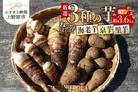 ◆◆2025年度収穫分先行予約◆◆山梨県上野原市産 厳選３種の芋（里芋・京芋・海老芋）セット 各約1.2kg×3種