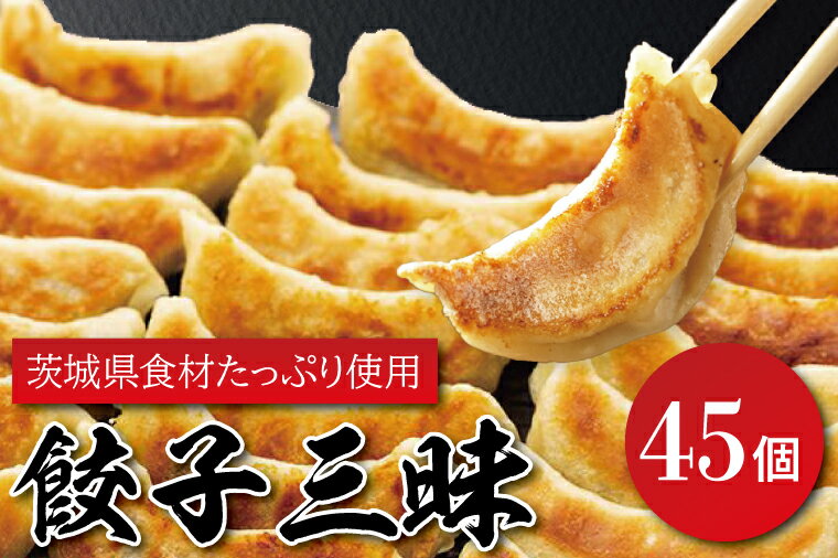 【ふるさと納税】餃子三昧（EQ-1）