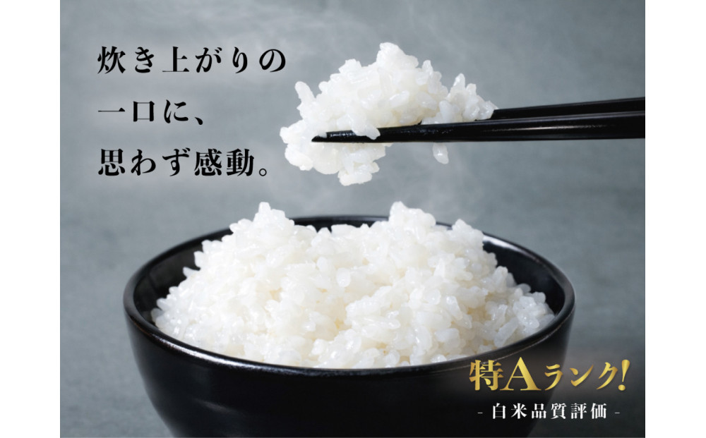 定期便全12回【南魚沼市食味コンテスト優秀賞】南魚沼産コシヒカリ 白米5kg ｜薬師米 令和7年産【定期便 銘柄米 ブランド米 精米 こしひかり コシヒカリ 魚沼産 新潟米 産地直送 お米 米 こめ 