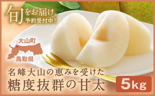 YN-04 鳥取県産和ナシ 甘太梨5kg