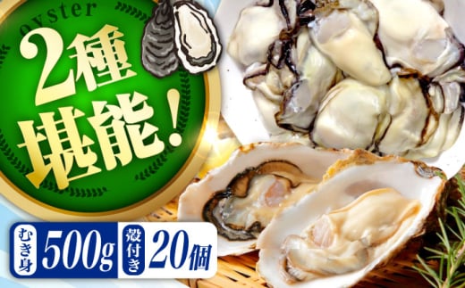 【3月1日（日）着】高品質の牡蠣を産地直送！ 【生牡蠣】【着日指定可能】『てつまるかき』牡蠣 むき身500g・殻付き20個セット 加熱用 かき 海鮮 海産物 簡単 広島県産 江田島市/有限会社テツマル海産 [XCO013]