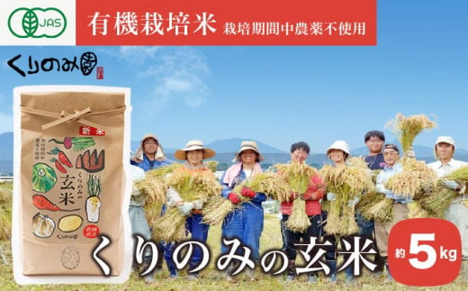 ［有機栽培米］くりのみの玄米 約5kg ［くりのみ園］お米 米 おこめ 5キロ 長野県産 玄米 信州 オーガニック 栽培期間中農薬不使用 ［A-44］