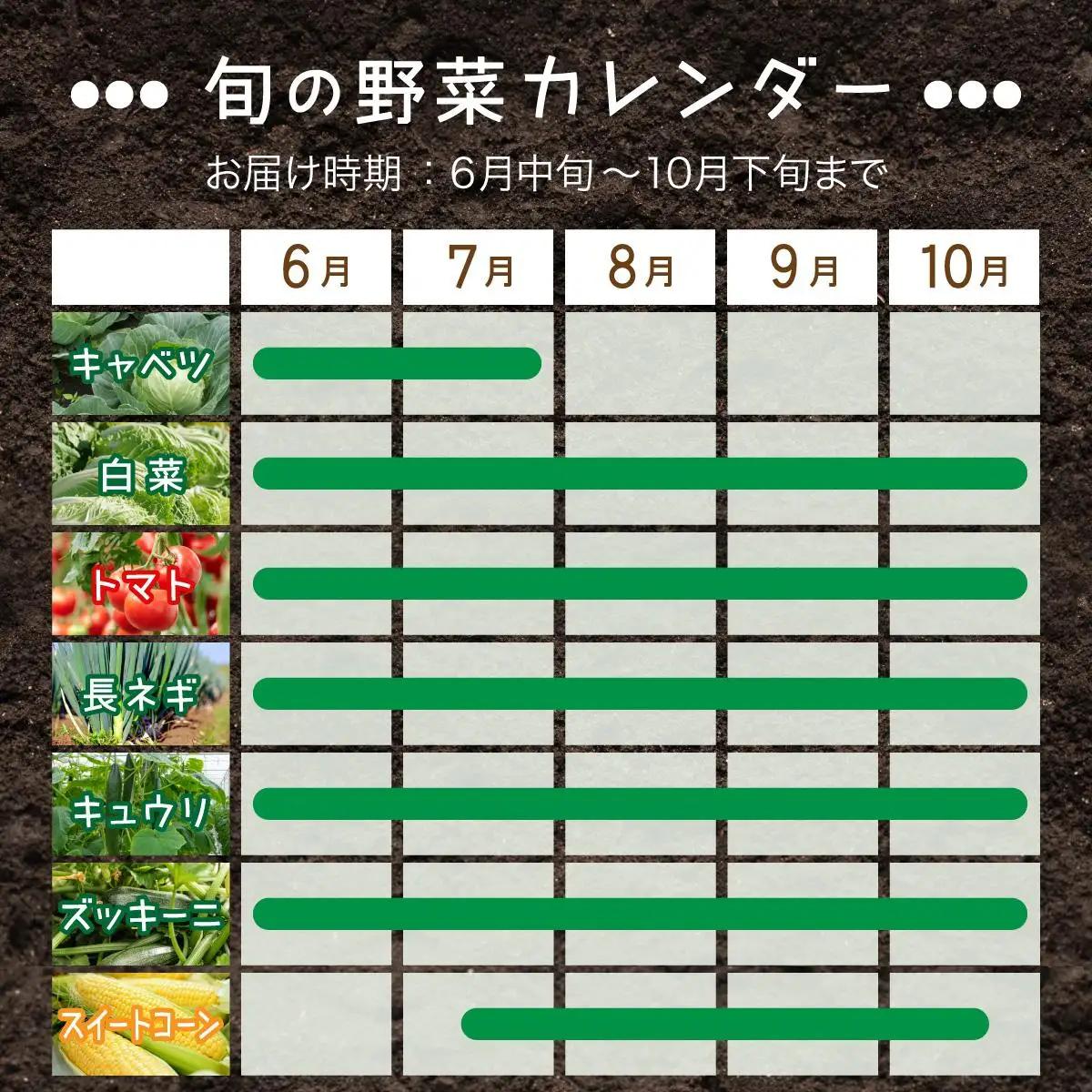 【ふるなびWEEK対象】＜定期便3回＞北海道 伊達市 産直・旬のおまかせ野菜詰合せ 6～8種【dnk-005_FU】