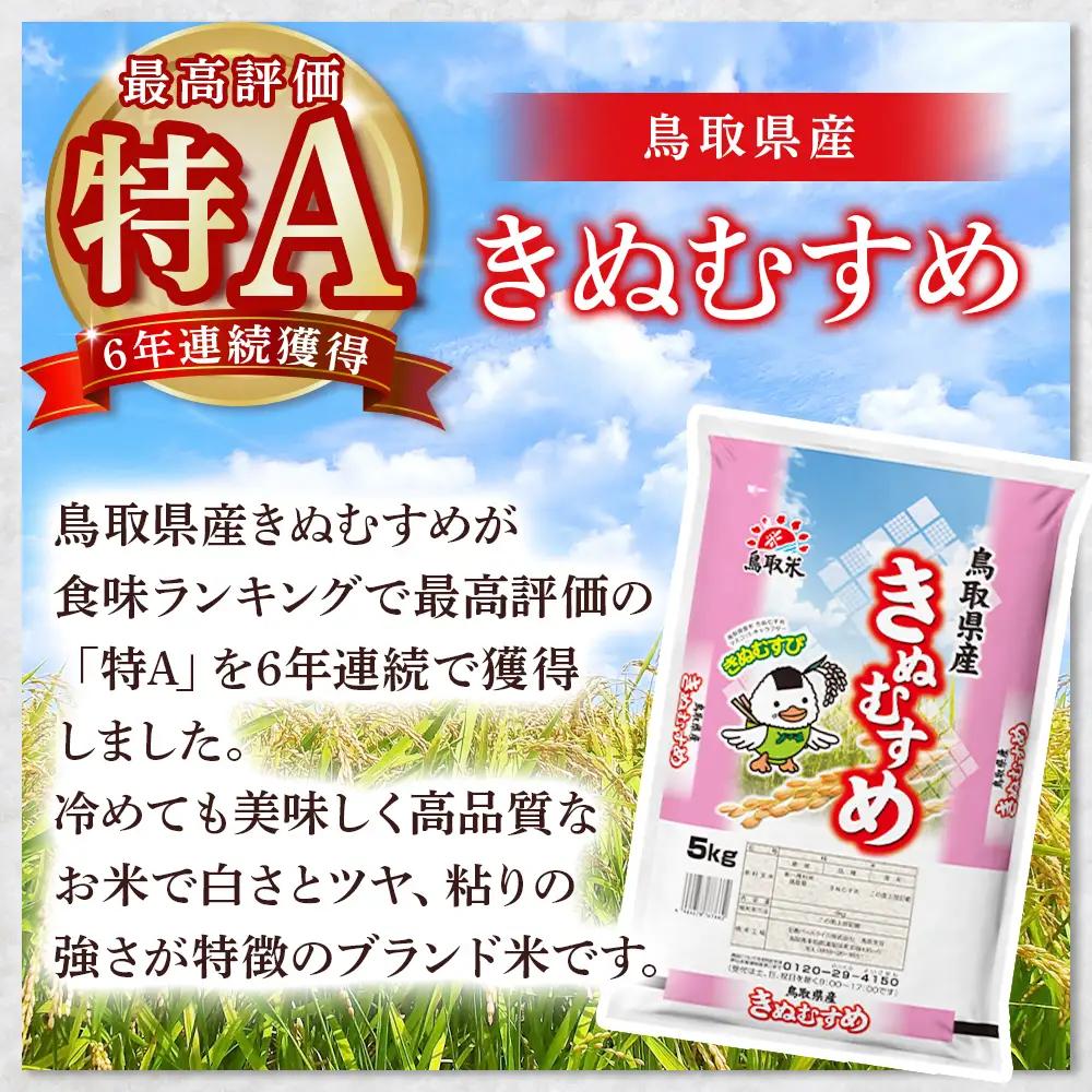 ※通常発送【数量限定】【令和7年産米】鳥取県産 きぬむすめ （5kg） 精米 米 白米