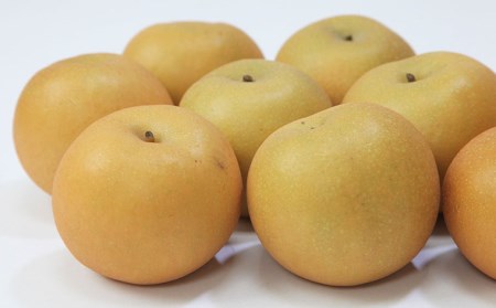 山形産 和梨(豊水) 秀 3kg(6～12玉) 【令和8年産先行予約】FU22-011 くだもの 果物 フルーツ 山形 山形県 山形市 2026年産