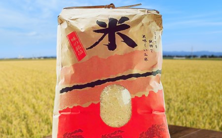 【令和７年 新米】淡路島 南あわじ産　お米（きぬむすめ）10ｋｇ◆配送10月中旬～