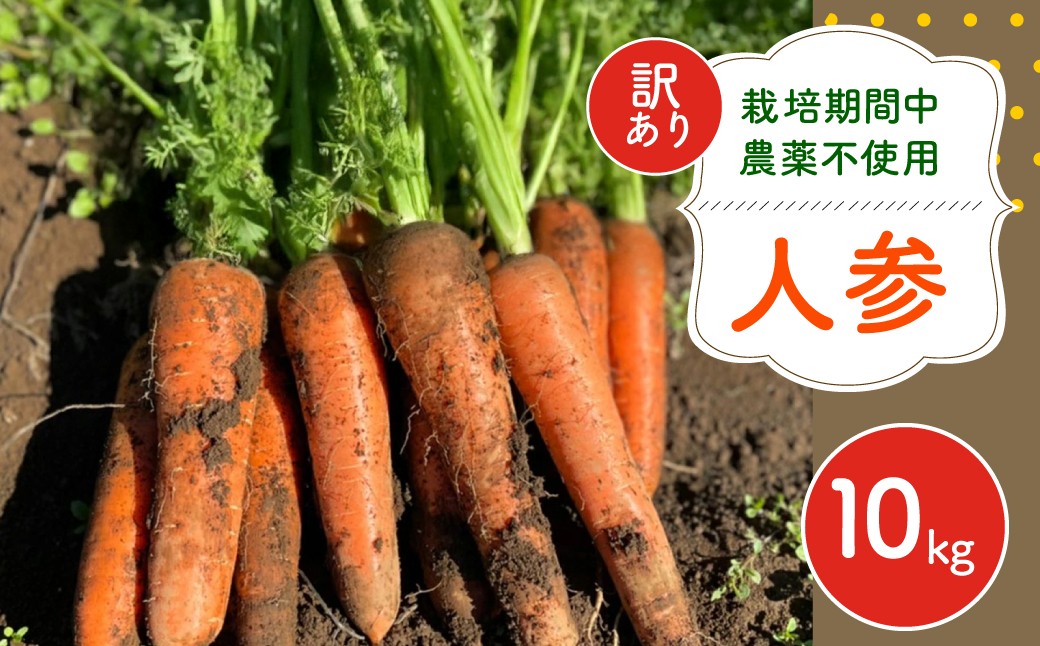 
            【12月～2月発送】【栽培期間中農薬不使用】訳あり人参１０㎏  AIBA FARM Ｂ品 / 野菜 やさい にんじん 人参 ニンジン 名産 特産 甘い 美味しい 訳あり 不揃い B級 健康 ヘルシー フードロス AIBA FARM アイバファーム 千葉県 富里市 TML007
          