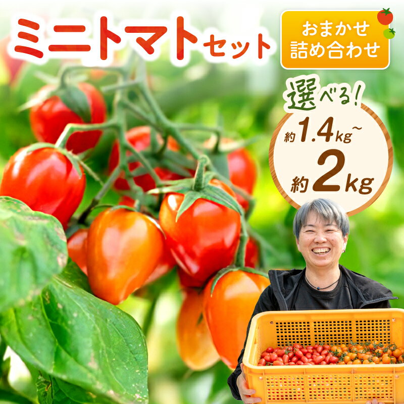 【ふるさと納税】ミニトマトセット（おまかせ詰め合わせ）約1.4kg 約2kg《先行予約》