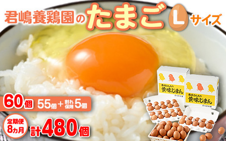 【8か月定期便】君嶋養鶏園のたまご Lサイズ 60個（55個＋割れ補償5個）×8ヶ月 計480個 | 定期便 8ヶ月 8か月 8ヵ月 卵 玉子 たまご 赤卵 赤たまご 生卵 国産 濃厚 鶏卵 コク 旨味