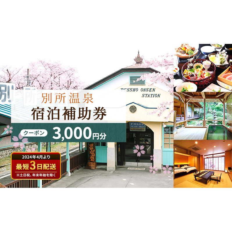 宿泊券 長野 別所温泉 3000円 ギフト券 券 チケット クーポン 旅行 観光 宿泊