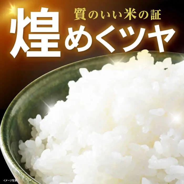 米 コシヒカリ JASオーガニック 10kg 白米 [AQBL003]こしひかり