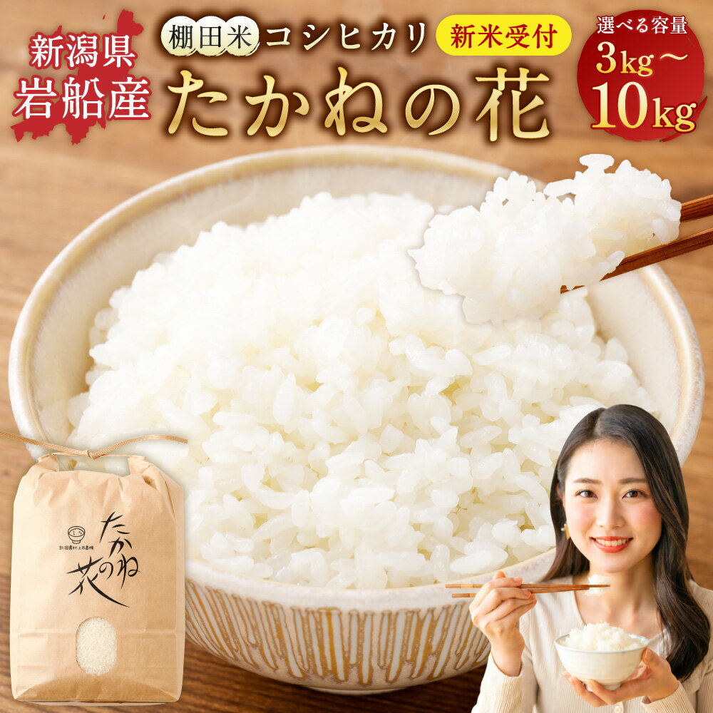 【ふるさと納税】【新米受付・令和8年産米】【選べる容量3kg～10kg 】 新潟県村上市岩船産　棚田米コシヒカリ「たかねの花」3kg・ 5kg・6kg・10kg 米 お米 白米 ご飯 ごはん コシヒカリ お取り寄せ 新潟県 村上市 送料無料 1104001N 1104002N 1104007N 1104008N