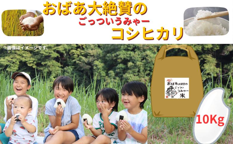 
                  コシヒカリ 精米10ｋｇ

                