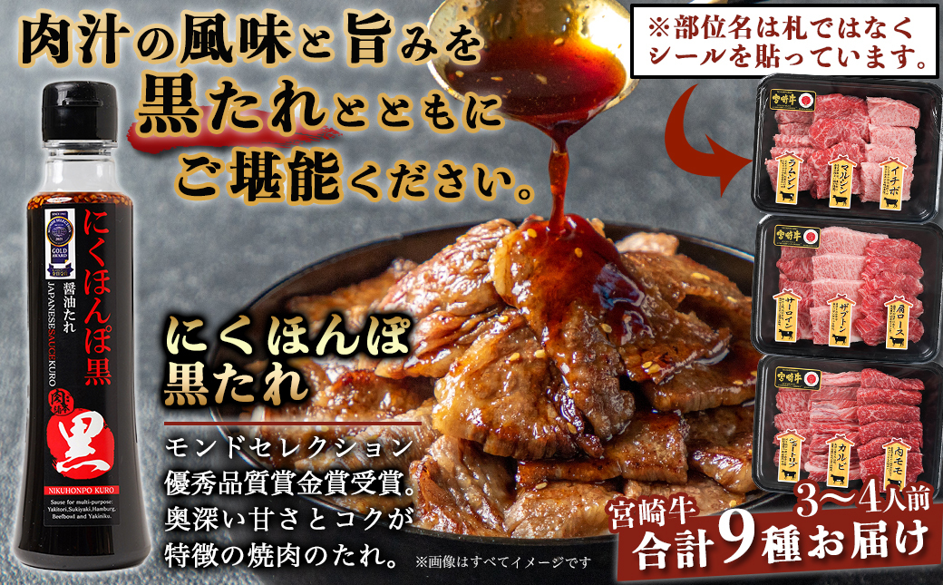 【お中元】【数量限定】宮崎牛9種盛り焼肉セット_22-3101-SG