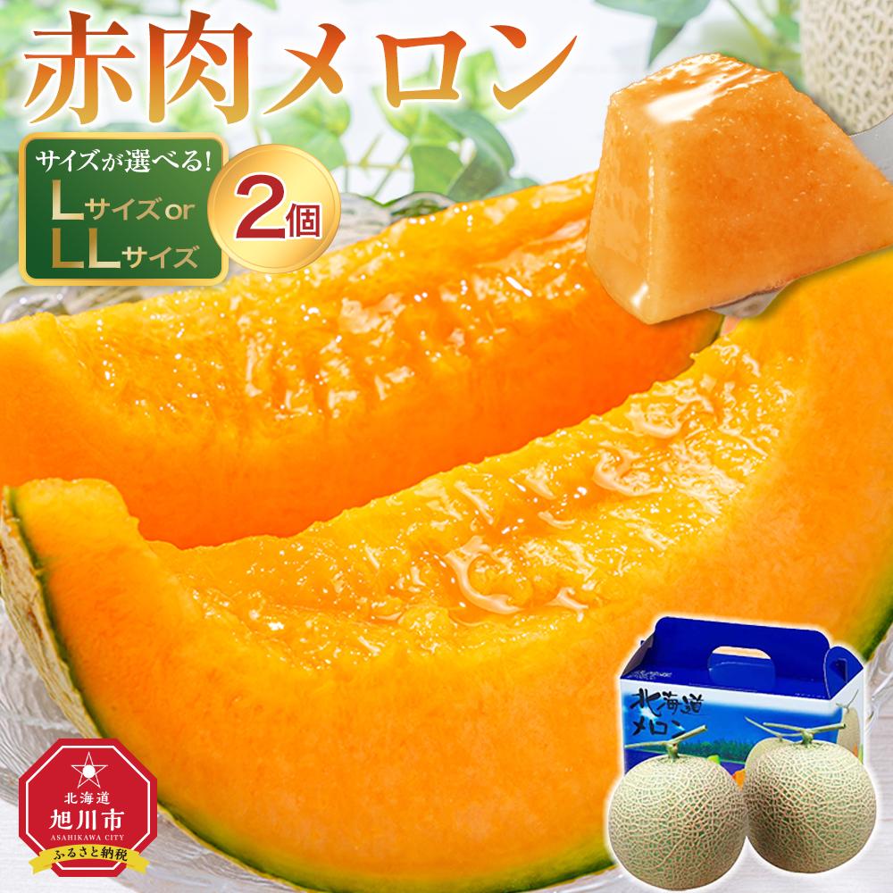 先行予約 北海道「赤肉メロン」L玉×2個（2023年7月中旬発送開始予定 | メロン 赤肉 果物 フルーツ 大人気 高評価 ランキング 糖度 2玉 デザートお取り寄せ 旭川市ふるさと納税 北海道ふるさと納税 旭川市 北海道 送料無料