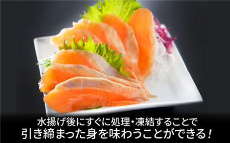 玄海サーモン3種詰合せ（切り身、醤油漬け、クリーム煮）佐賀県 [41AECT005]