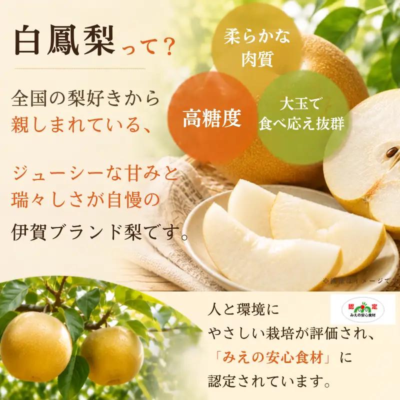 梨 白鳳梨（豊水）3L  14玉 ※お届けは9月上旬から9月中旬頃の予定 梨 【hkns0001】