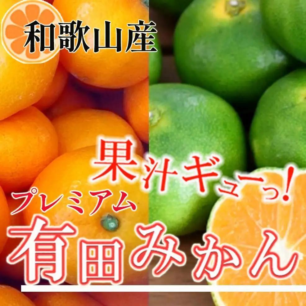 有田みかん5kg+250g（傷み補償分）みかん［2026年10月初旬から2026年1月末日頃順次発送予定］［IKE250］