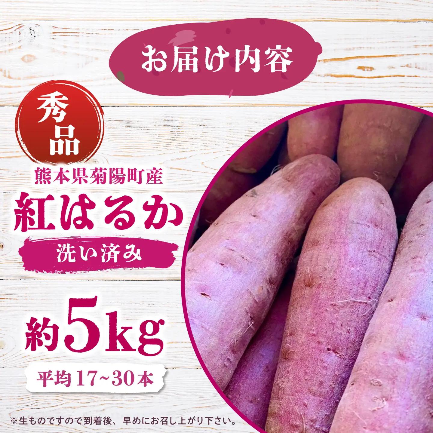 【先行予約】【2026年12月上旬より順次発送】さつまいも 約5kg(平均17本から30本)/ サツマイモ 芋 焼き芋 熊本県 菊陽町【株式会社さかもと農園】[BHDL002]
