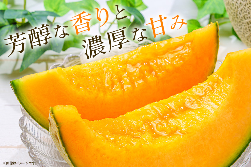 【数量限定・期間限定】おみたまレノンメロン（赤肉）2玉 メロン 秀品 茨城県産 めろん 52-D