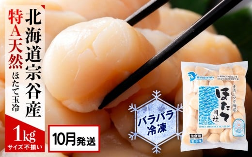 【2025年10月発送】宗谷産 天然生食用 ほたて貝柱 1kg（特A無選別）
