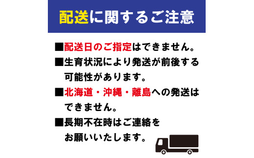 【2026年11月上旬より順次発送】【極撰】温州みかん 約 5kg フルーツ 果物 柑橘 柑橘類 デザート おやつ 旬 産地直送 冬の味覚 旬の果物 旬のフルーツ お取り寄せ 取り寄せ 送料無料 みか