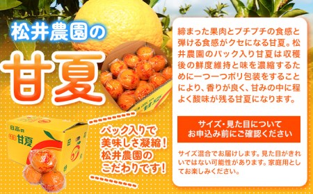 パック入り甘夏 10kg 甘夏