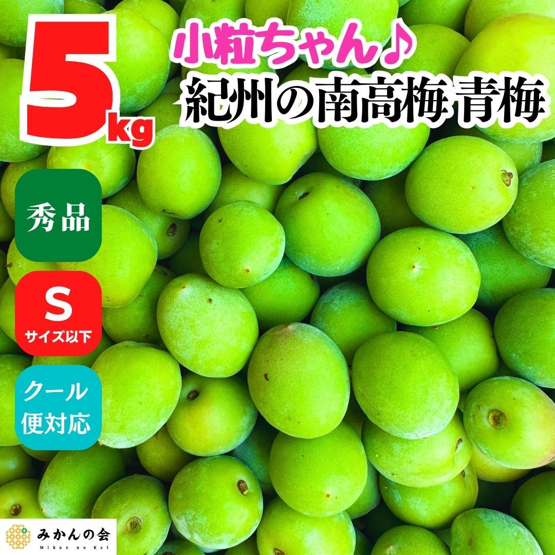 【ふるさと納税】[2025年6月上旬出荷]南高梅 青梅 秀品 小粒ちゃん 約5kg Sサイズ以下 和歌山県産 紀州有田 産地直送 クール便対応 梅酒作り用 梅ジュース作り用 | 梅干し 梅干 梅酒 梅ジュース 食品 加工食品 人気 おすすめ 送料無料
