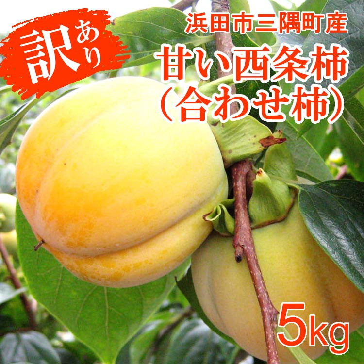 
            【先行予約】浜田自慢 訳あり甘い西条柿（合わせ柿）5kg ≪10月下旬発送開始≫ 訳あり 傷あり 果物 フルーツ 期間限定 数量限定【145_2055】
          