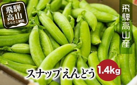 【先行予約】《収穫次第順次発送》飛騨高山産 スナップえんどう 1.4kg | 野菜 旬 新鮮 飛騨 高山 飛騨高山 スナップエンドウ えんどう エンドウ 豆 スナックエンドウ えんどう豆 飛騨高山 新葉ファーム FV007