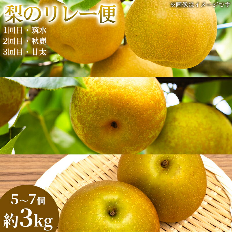 【ふるさと納税】【旬の梨を味わう】熊本県産 リレー便(各5～7個)(約3kg)(1回目)筑水(2回目)秋麗(3回目)甘太 梨 フルーツ 詰め合わせ 食べ比べ 甘い 濃厚 農家直送 ギフト 贈答用 家庭用 お取り寄せ 熊本県　お届け：2026年7月15日～2026年10月31日