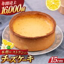 【ふるさと納税】チーズケーキ 5号（15cm) 4〜6人分 ケーキ 洋菓子 スイーツ クッキー生地 お菓子 まろやか 濃厚 【日本水産観光株式会社】[AKBR001]