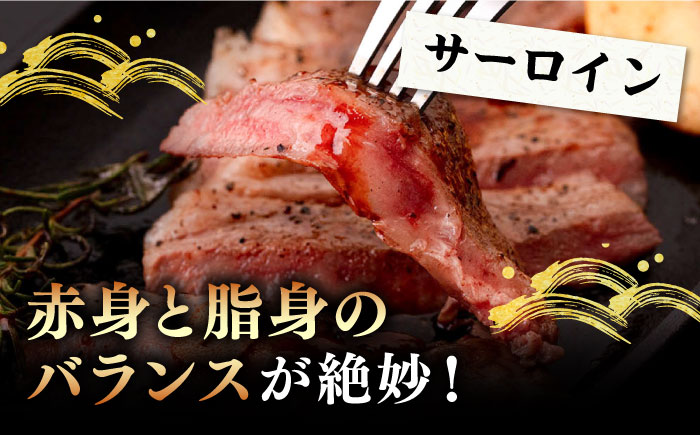A4・A5ランク 壱岐牛ヒレ&サーロインステーキ 2種 計4枚 計640g《壱岐市》【壱岐市ふるさと商社】 [JAA031] 牛肉 壱岐牛 肉 牛 ステーキ 牛肉ステーキ 赤身 ステーキ肉 和牛 サー