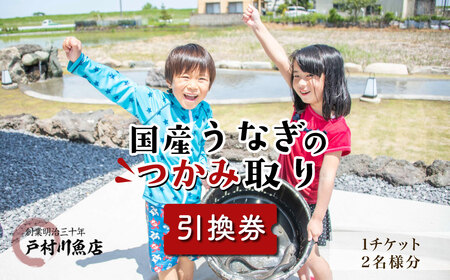戸村川魚店の国産うなぎのつかみ取り体験チケット /  うなぎ 国産うなぎ 鰻 国産鰻 ウナギ 国産ウナギ つかみ取り 体験 チケット うなぎのつかみ取り TMR006