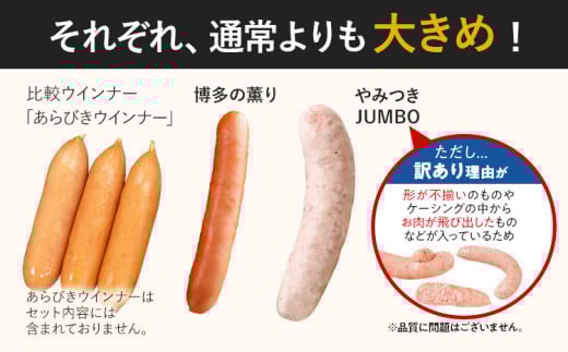 訳あり！ソーセージ食べ比べまんぷく福袋 合計2.5kg