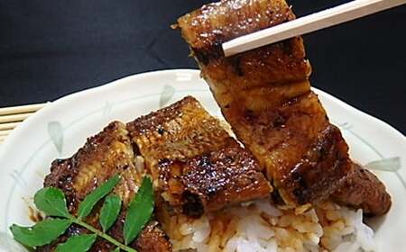 １２０余年守り抜いた秘伝のたれで焼いた　鰻の蒲焼　２尾（４人前）セット 国産 うなぎ 2尾 魚介類 魚貝類 父の日 土用の丑の日 お祝い お中元 夏バテ防止 疲労回復 おかず つまみ【104_0326